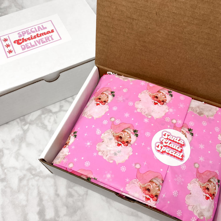 Holiday/Winter Mystery Sample Box