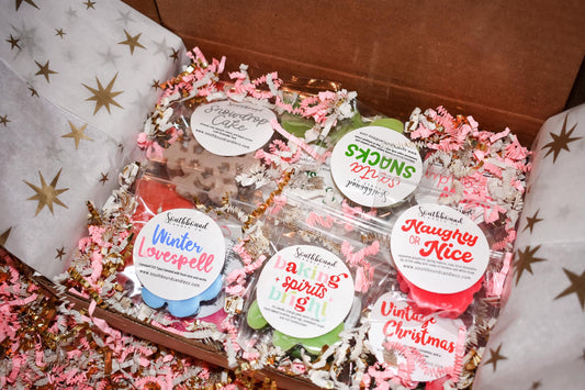 PRE-ORDER Holiday/Winter Mystery Sample Box